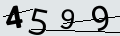 verifycode
